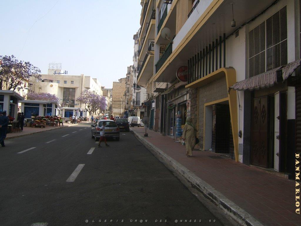 oran 251.jpg
